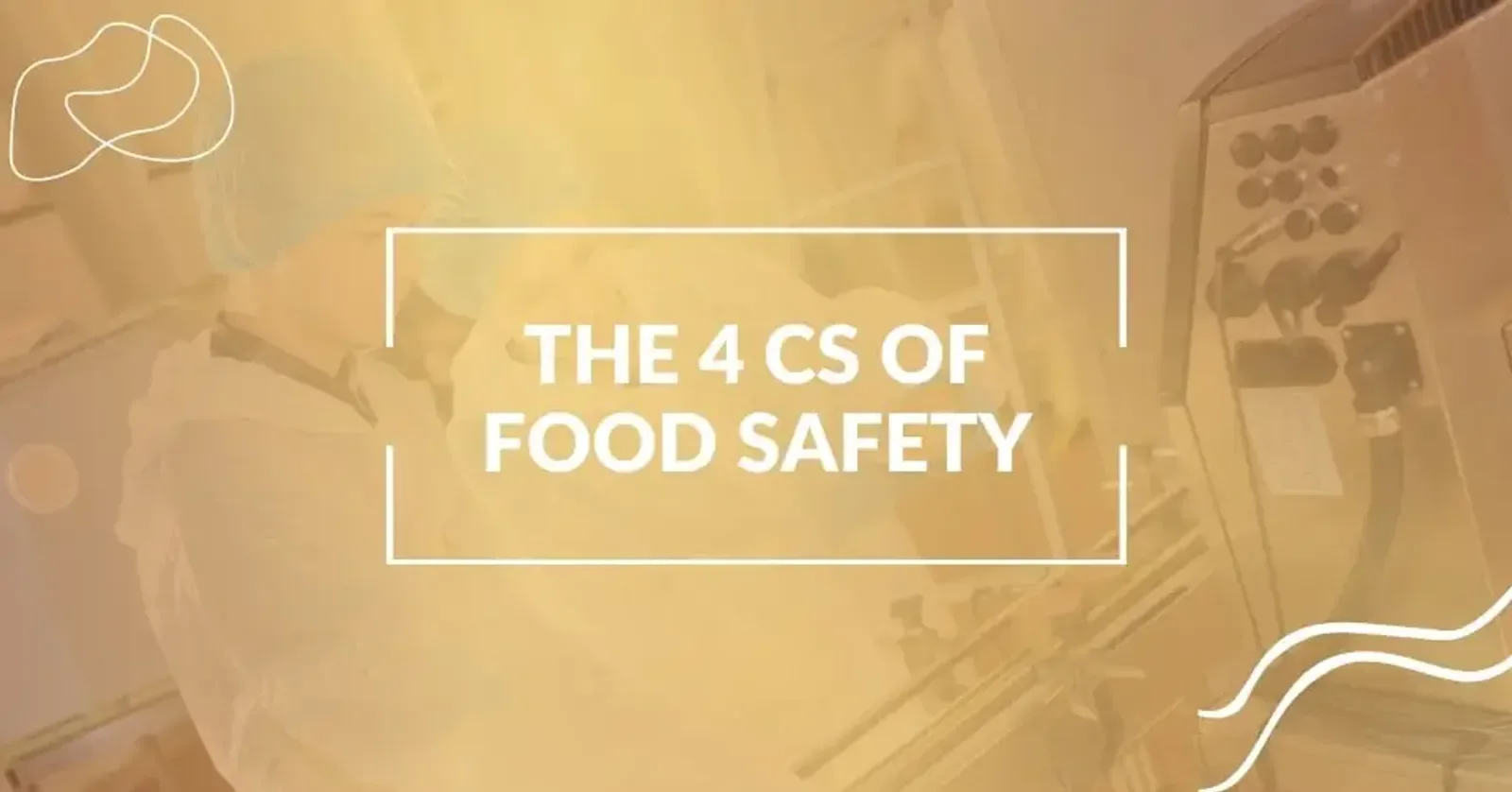 Exploring the 4 C’s of Food Safety