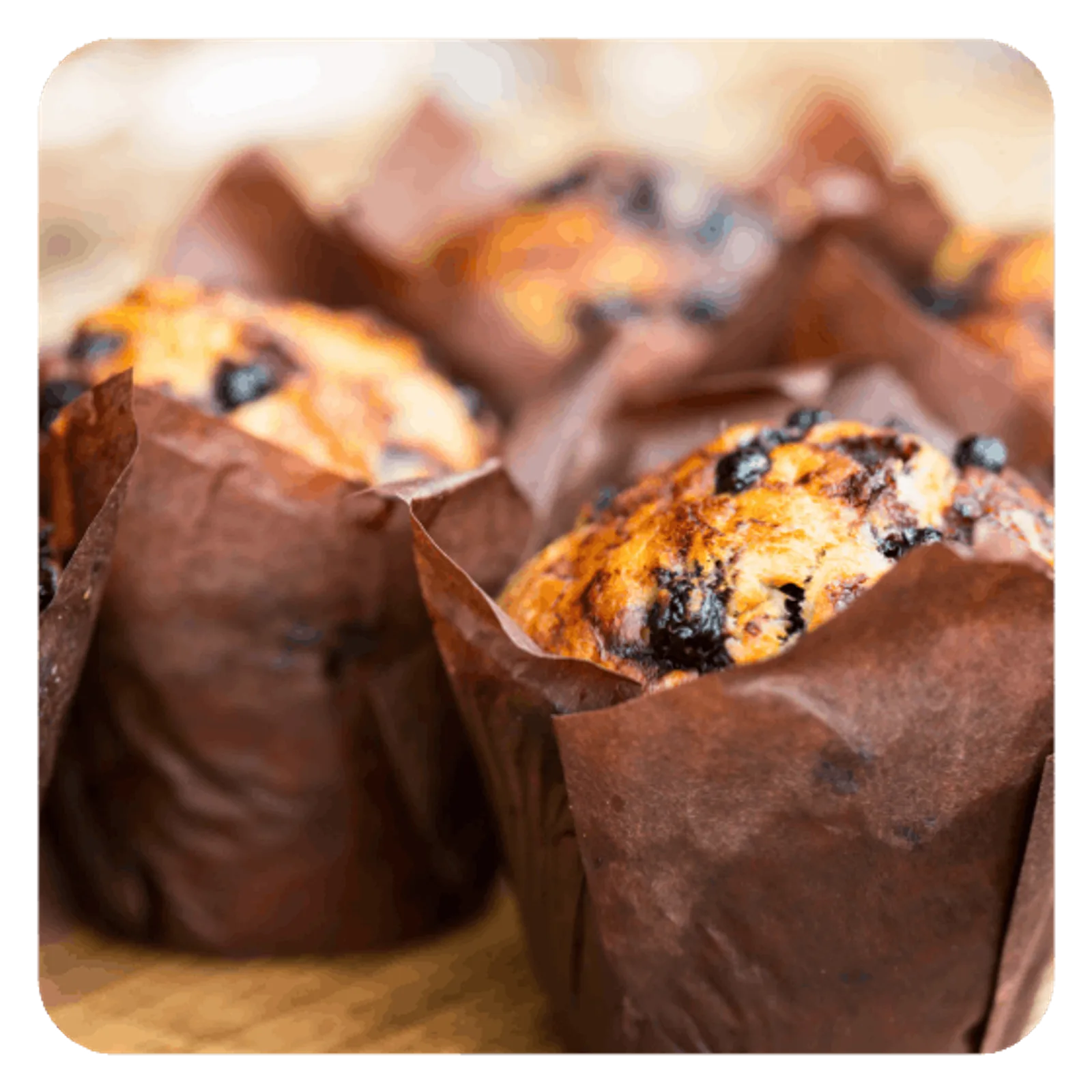 Bakery HACCP plan example