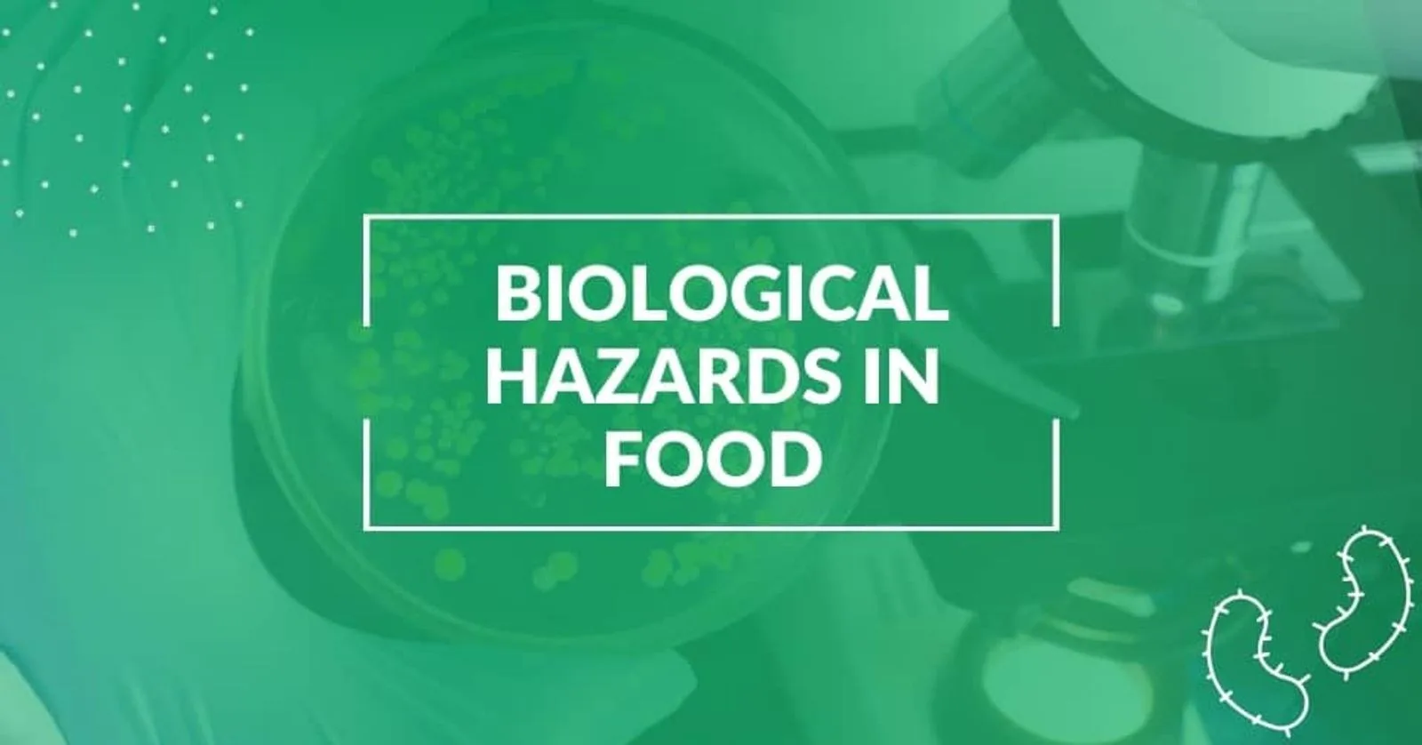 What Are Biological Hazards in Food?