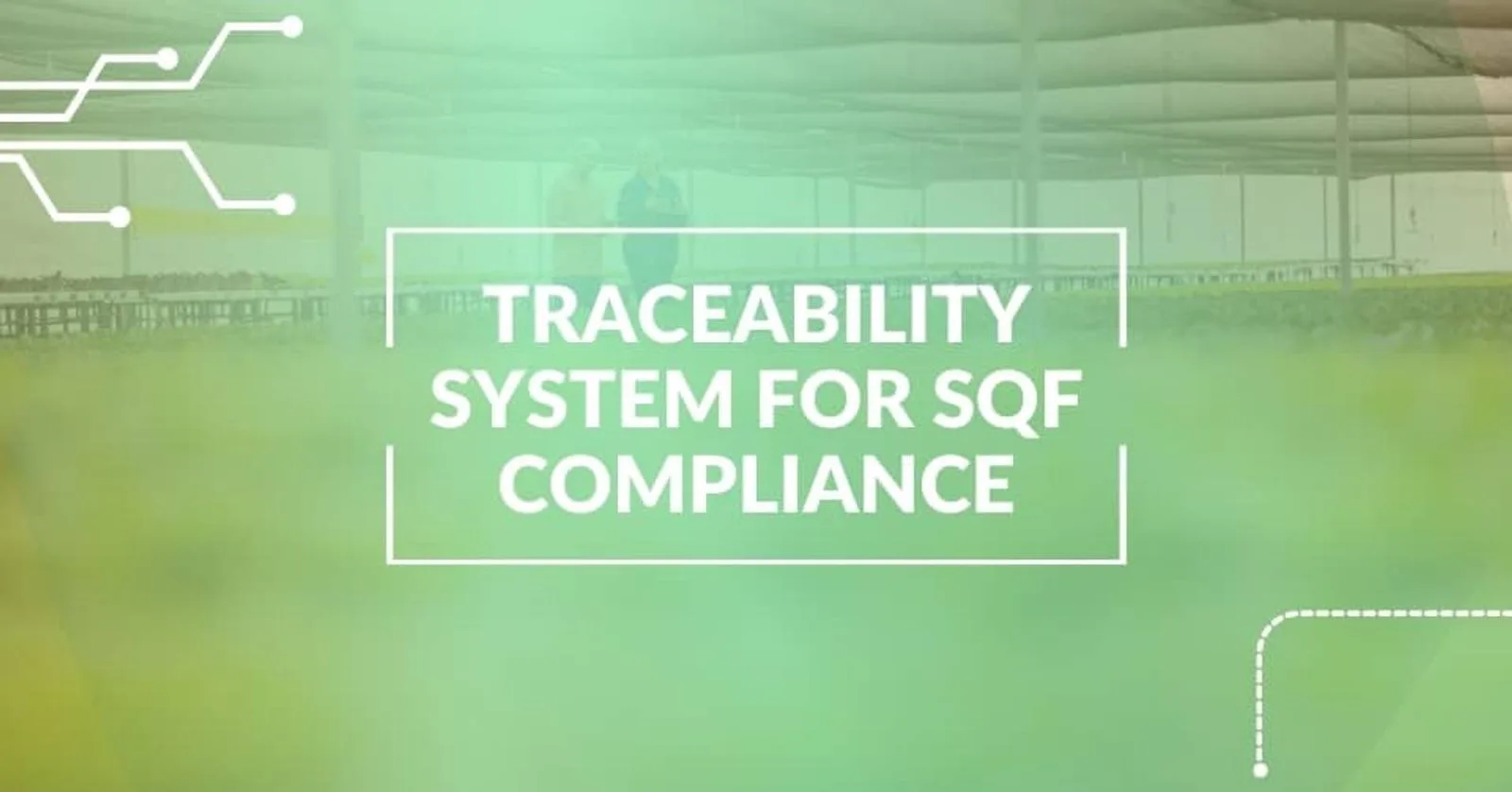 How to Improve SQF Compliance with Traceability System?