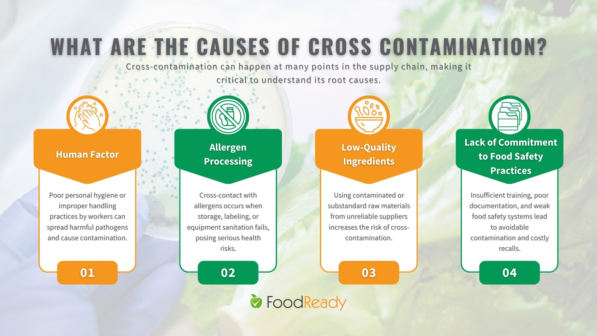 causes-of-cross-contamination