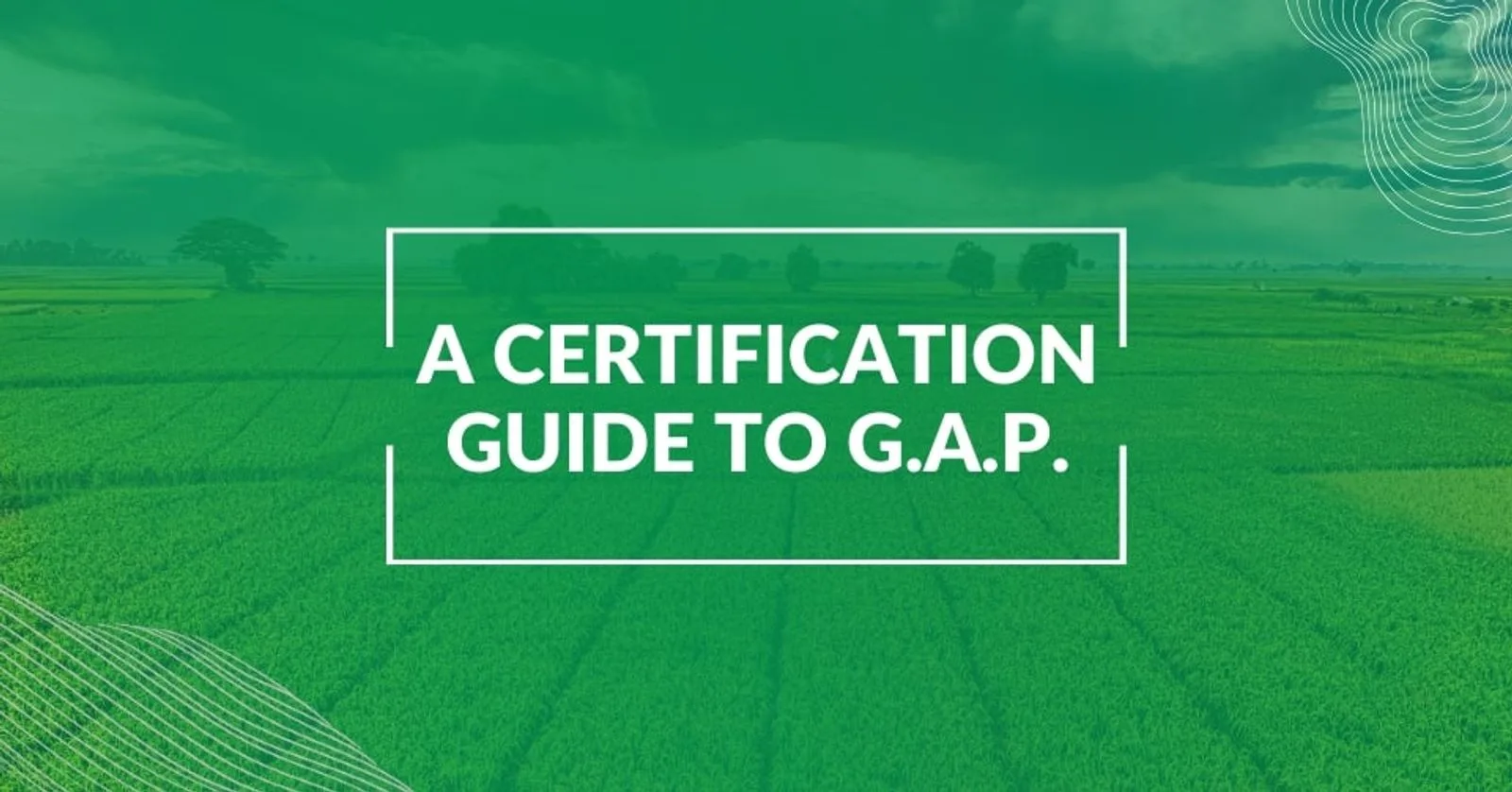 Global G.A.P. Certification Guide