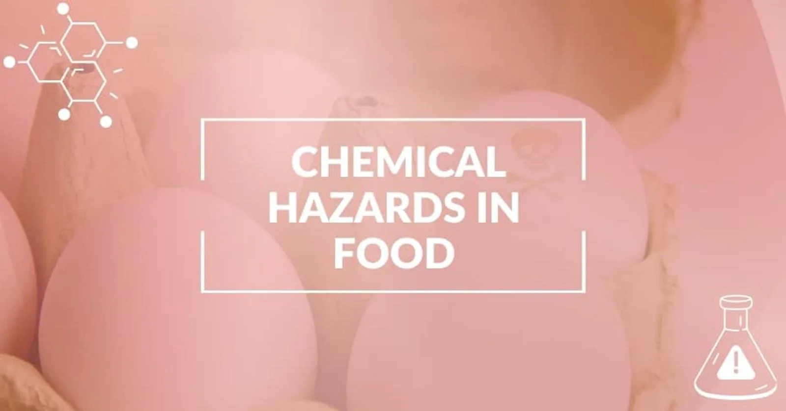 Chemical Hazards in Food: All You Need To Know