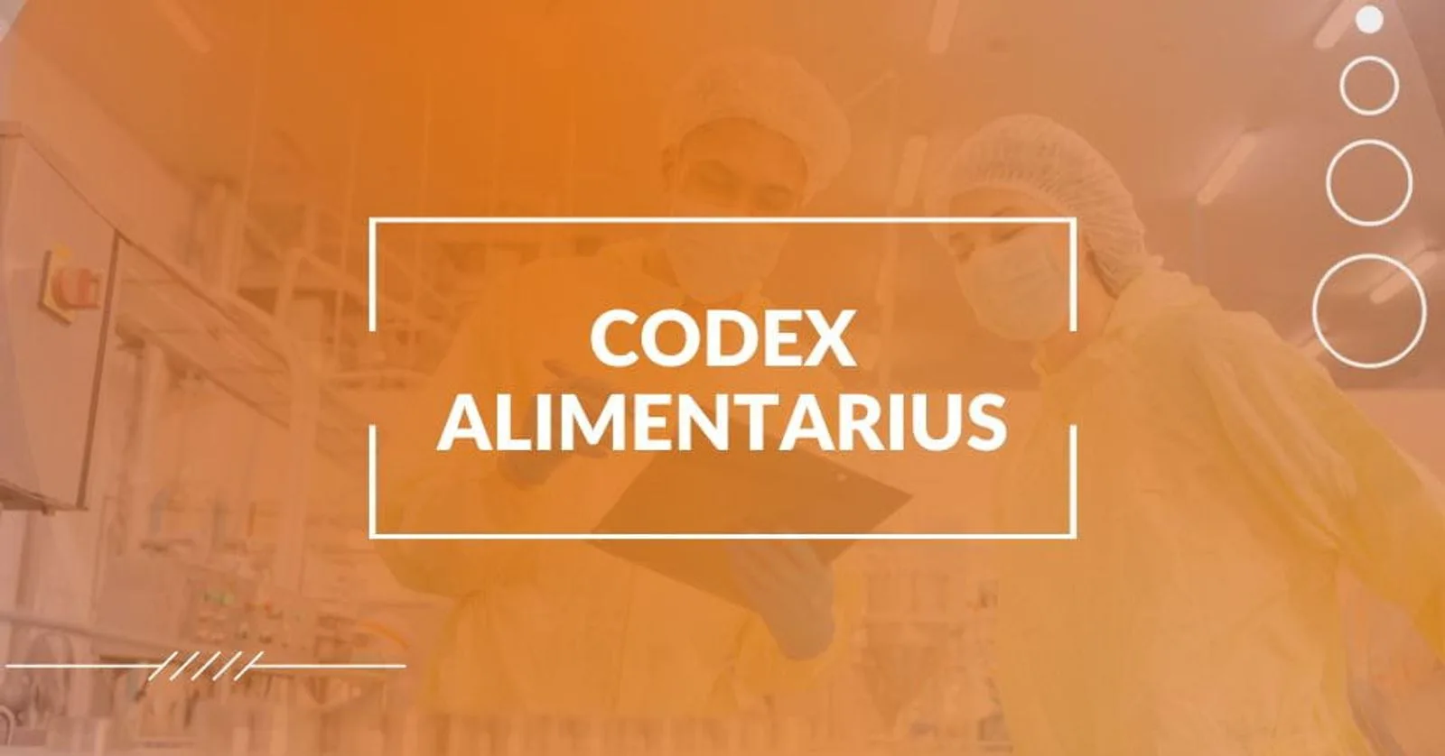 All About Codex Alimentarius