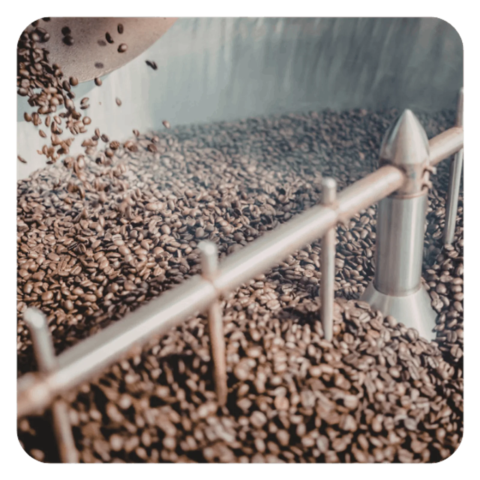 Coffee HACCP plan templates
