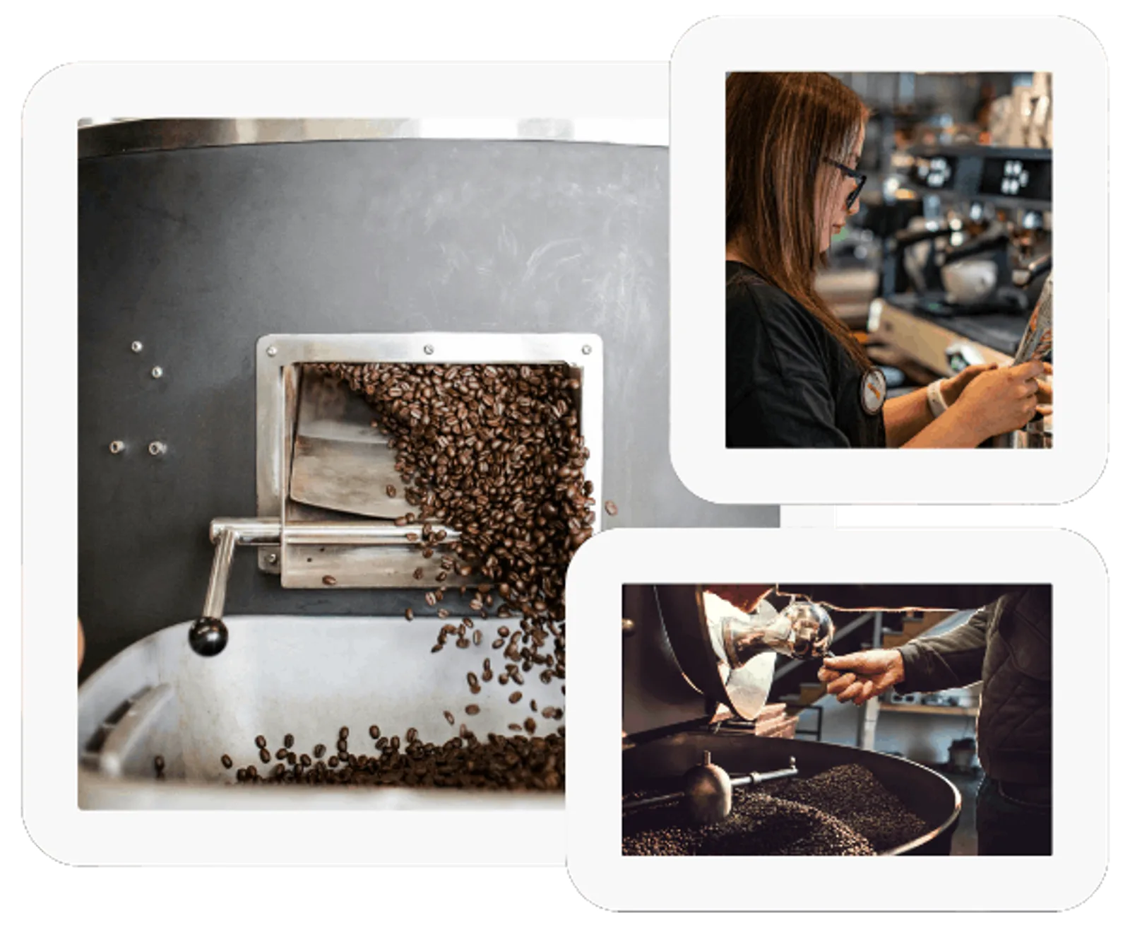 Coffee roasters, manufacturers, processors and cafes
