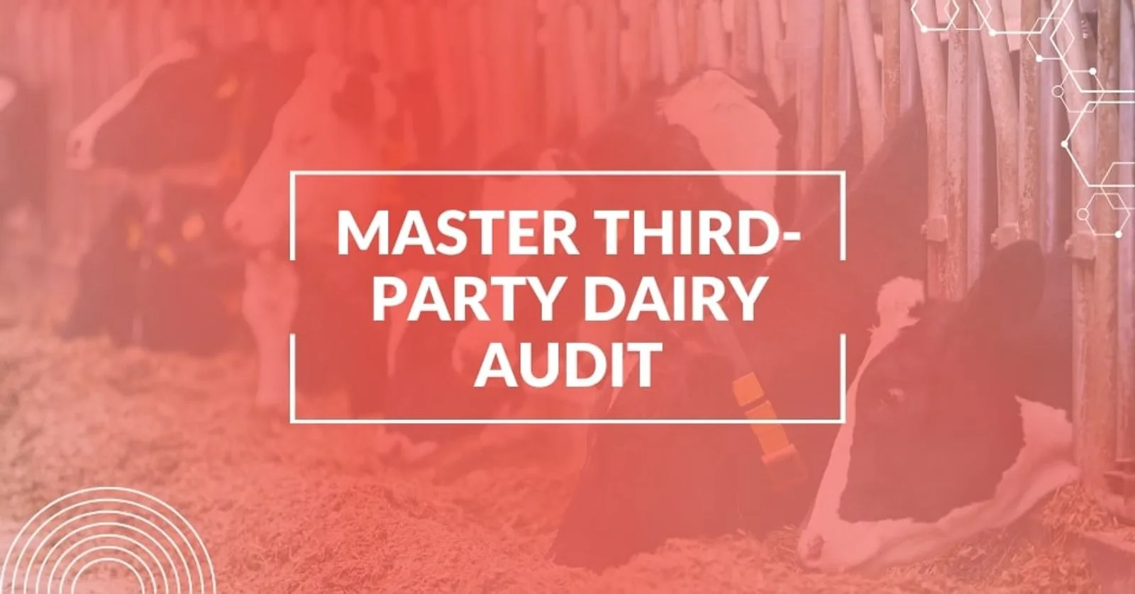 Dairy Food Business Growth Through Successful Third-Party Audits