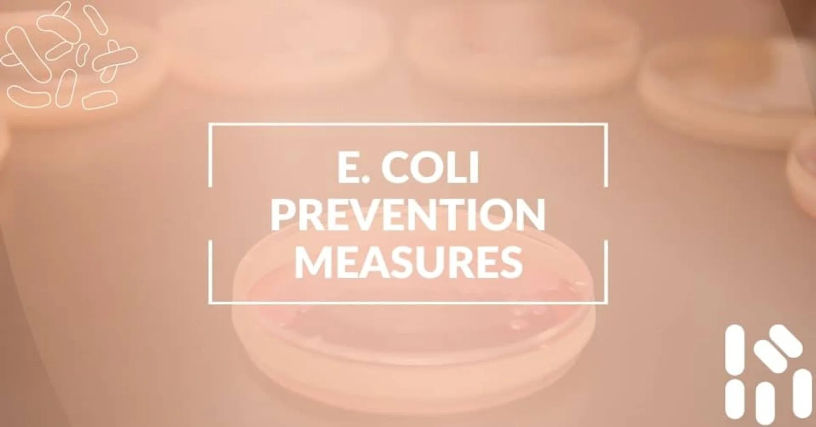 E. coli Prevention Measures and Sources for Food Operations
