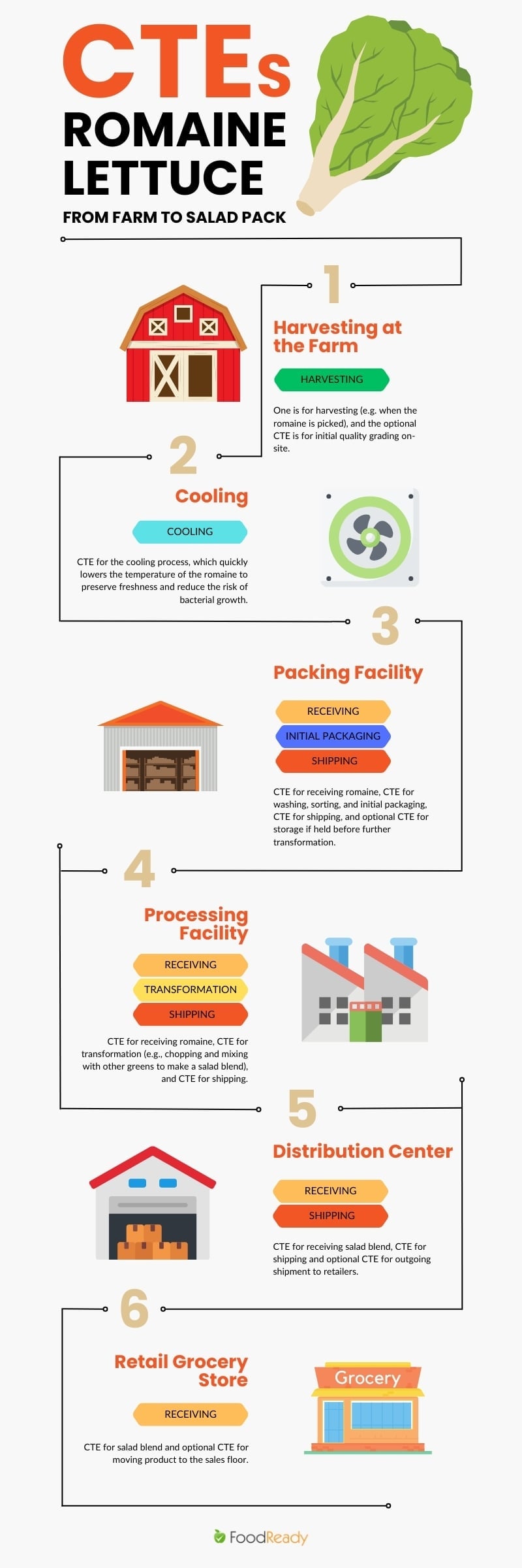 Critical tracking events for romaine lettuce - infographic