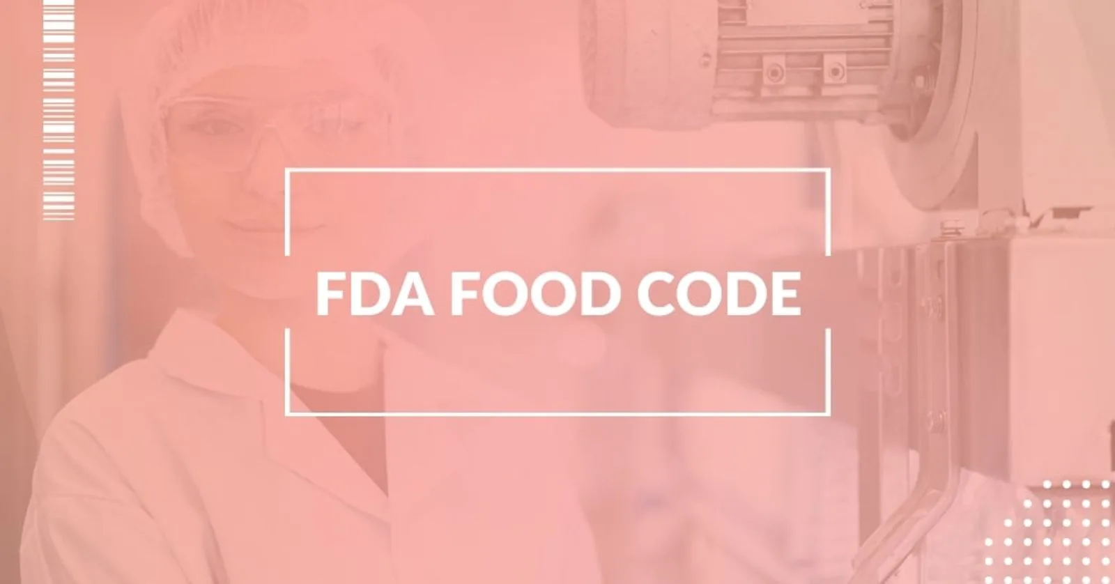 What Is the FDA Food Code?