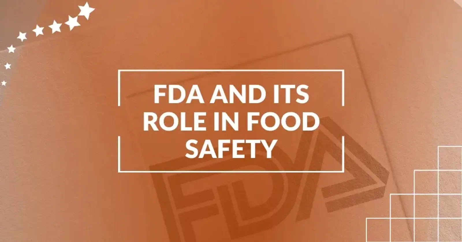 A Guide to the FDA and Its Role in Food Safety