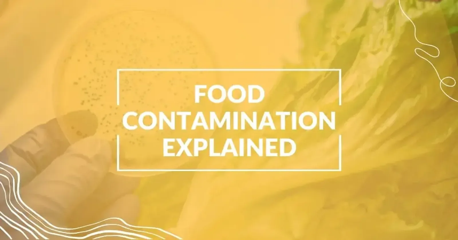 Food Contamination Explained: Types, Risks & Prevention Tips