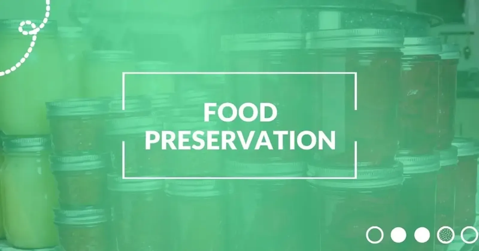 Food Preservation Methods in the Modern Age