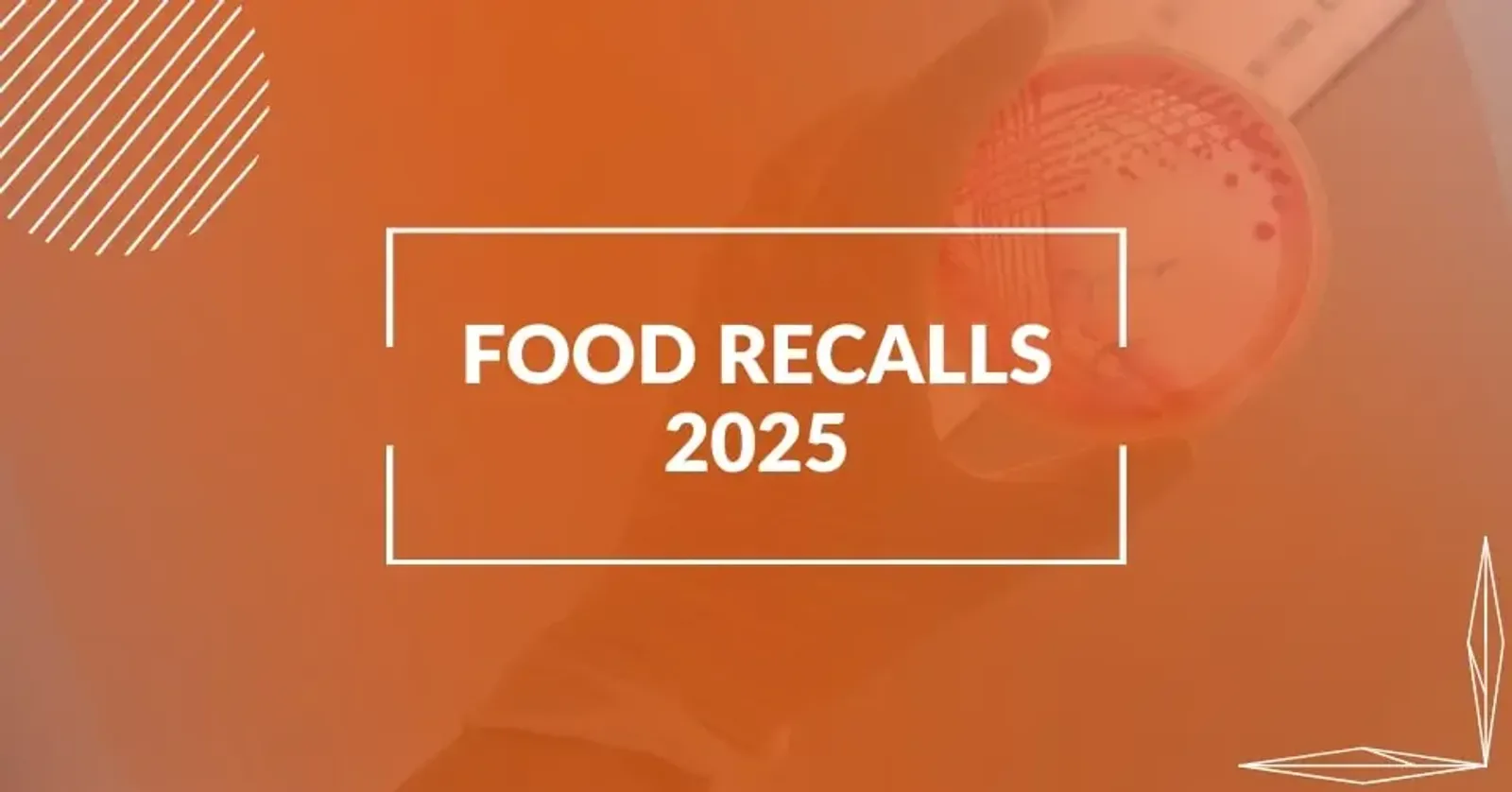 FDA Food Recalls 2025 – Stay Updated on the Latest Alerts