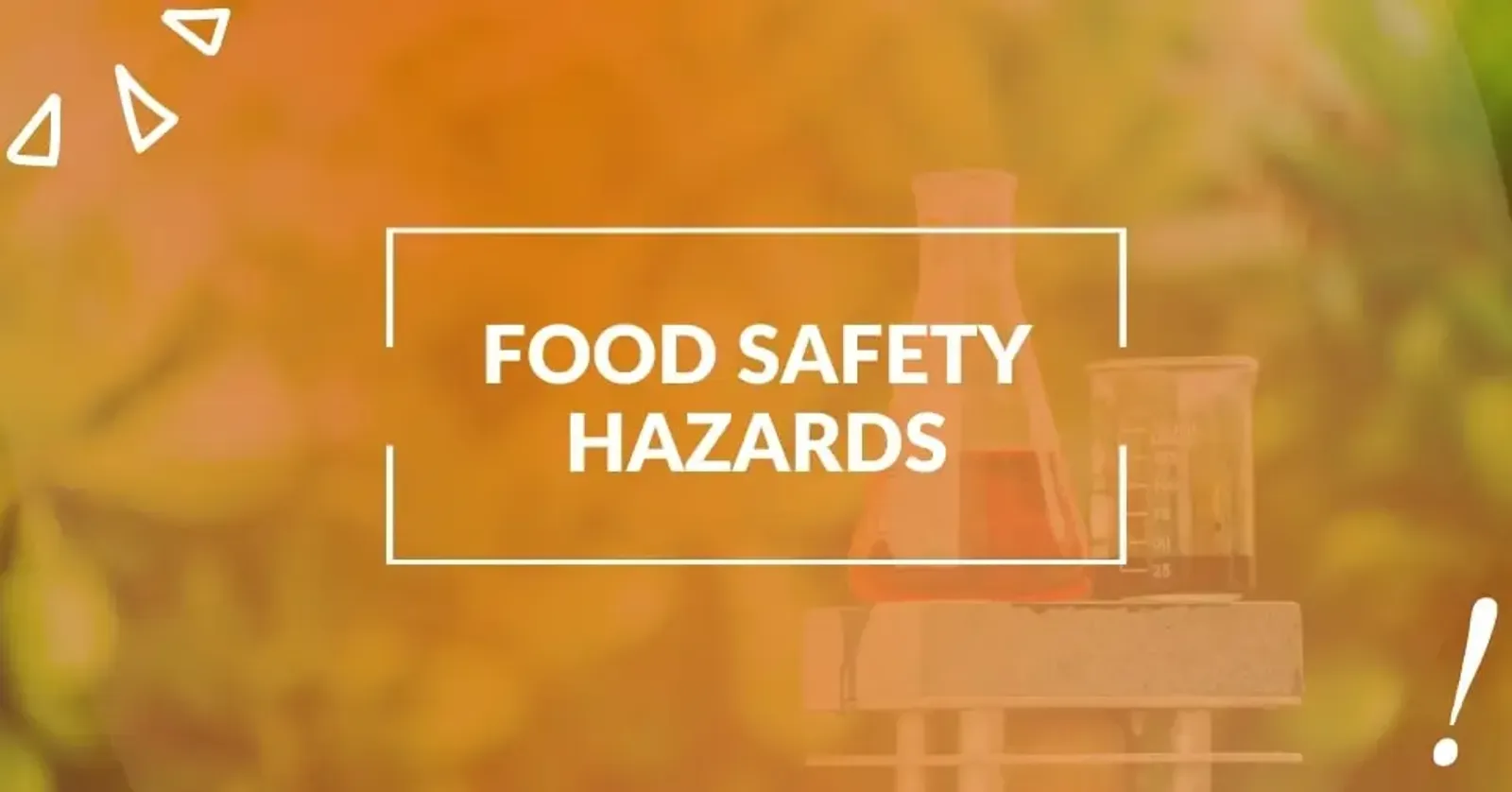 Food Safety Hazards Guide