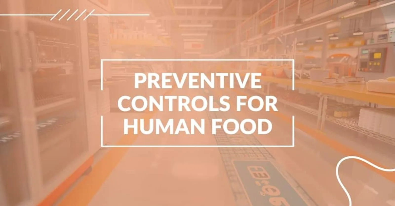 What Are Preventive Controls in Food Safety?