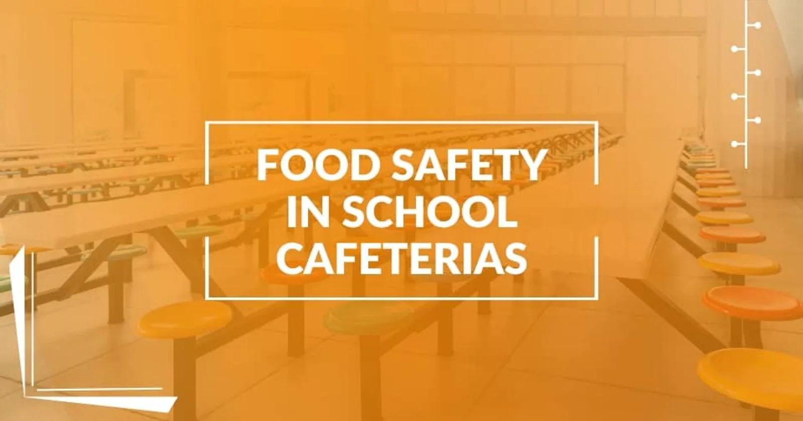 Protecting the Innocent: Strategies for Food Safety in School Cafeterias