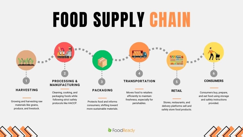 The food supply chain infographic