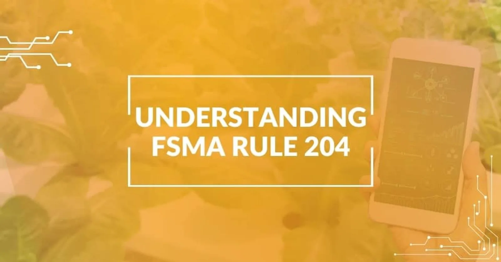 FSMA 204: A New Era of Food Traceability and Safety