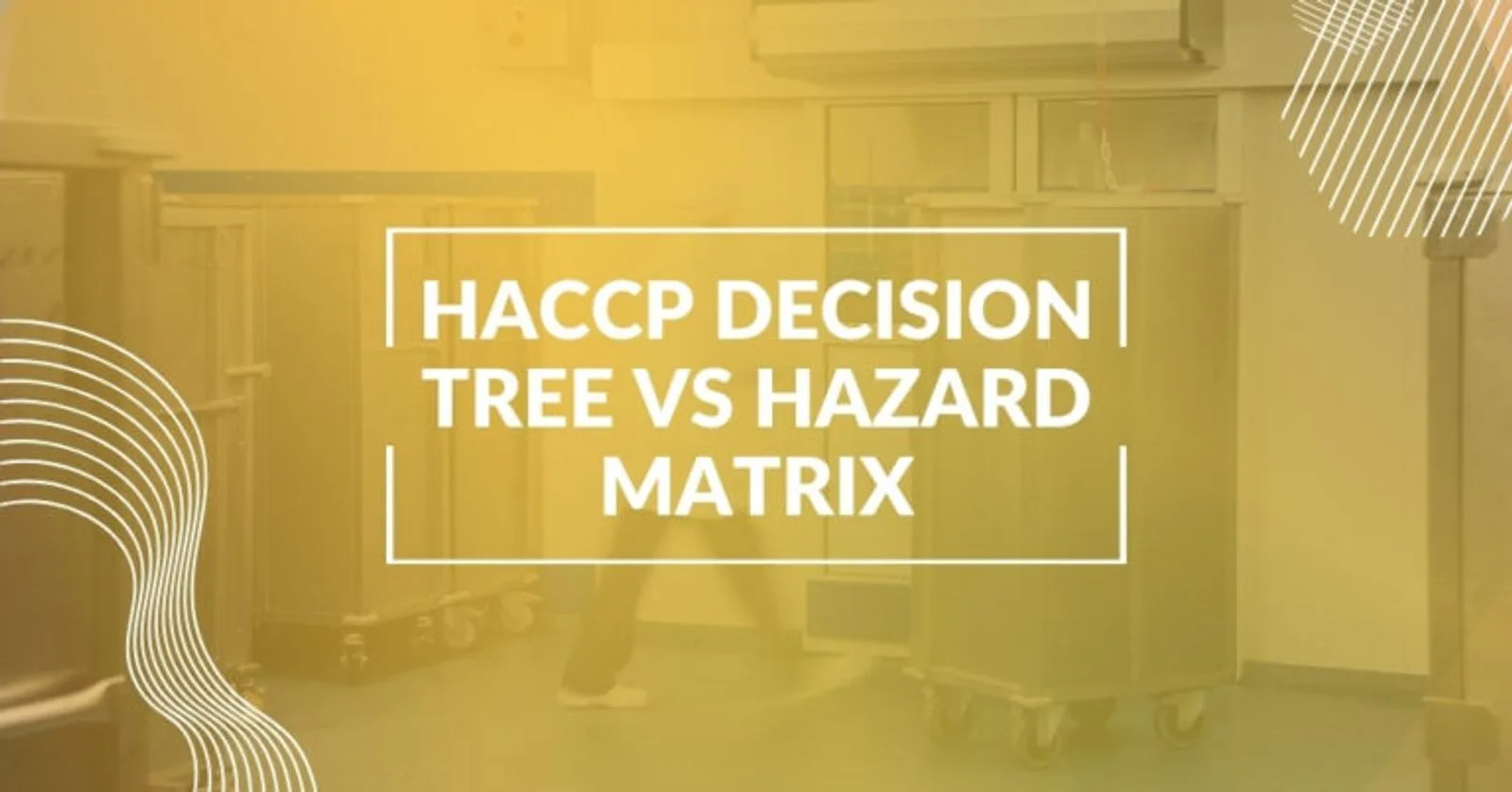 What Is the Difference Between a HACCP Decision Tree and Hazard Matrix?