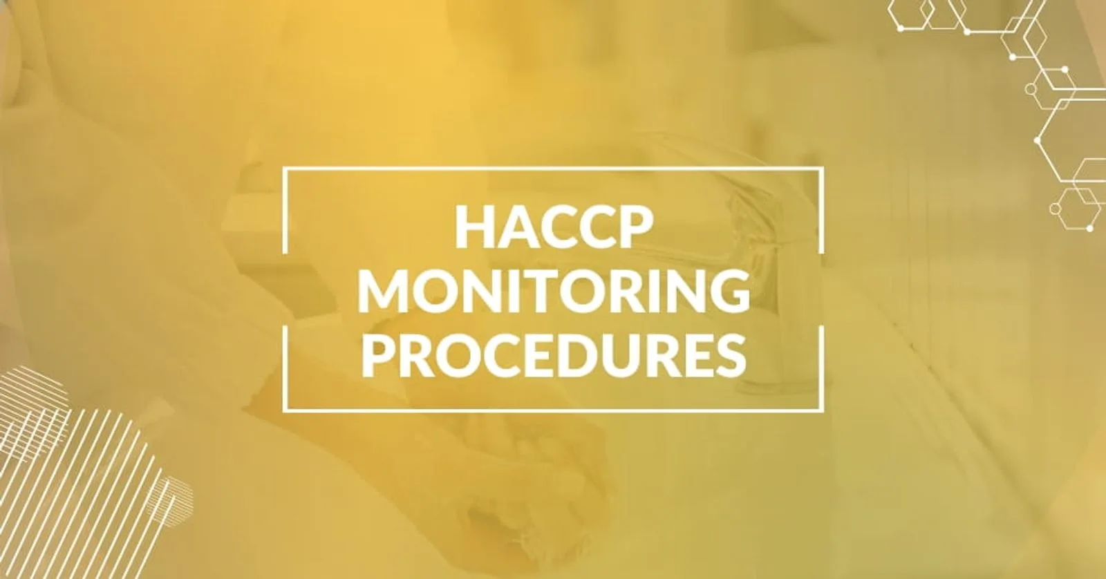 HACCP Monitoring Procedures – A Complete Guide