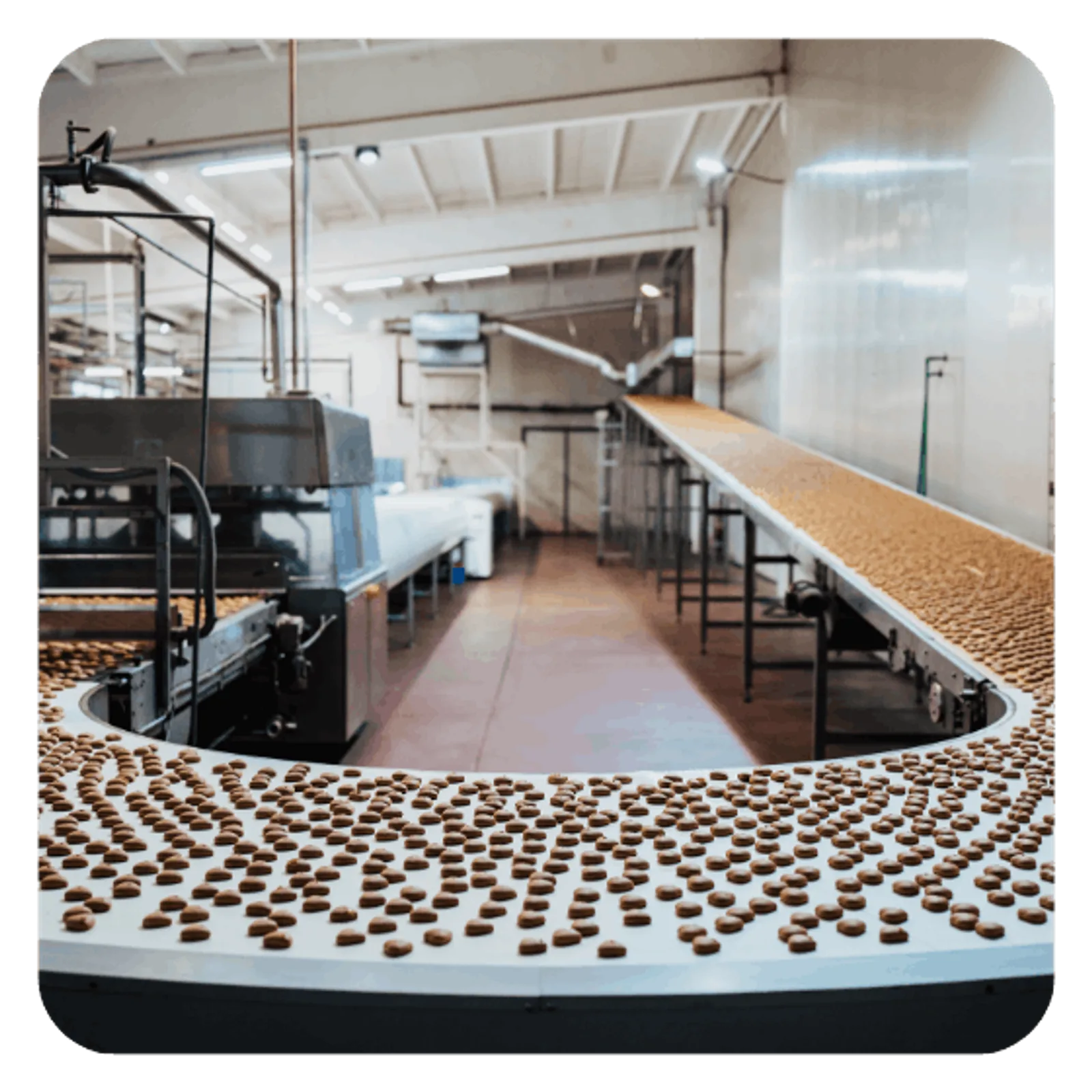 HACCP plan for chocolate manufacturing