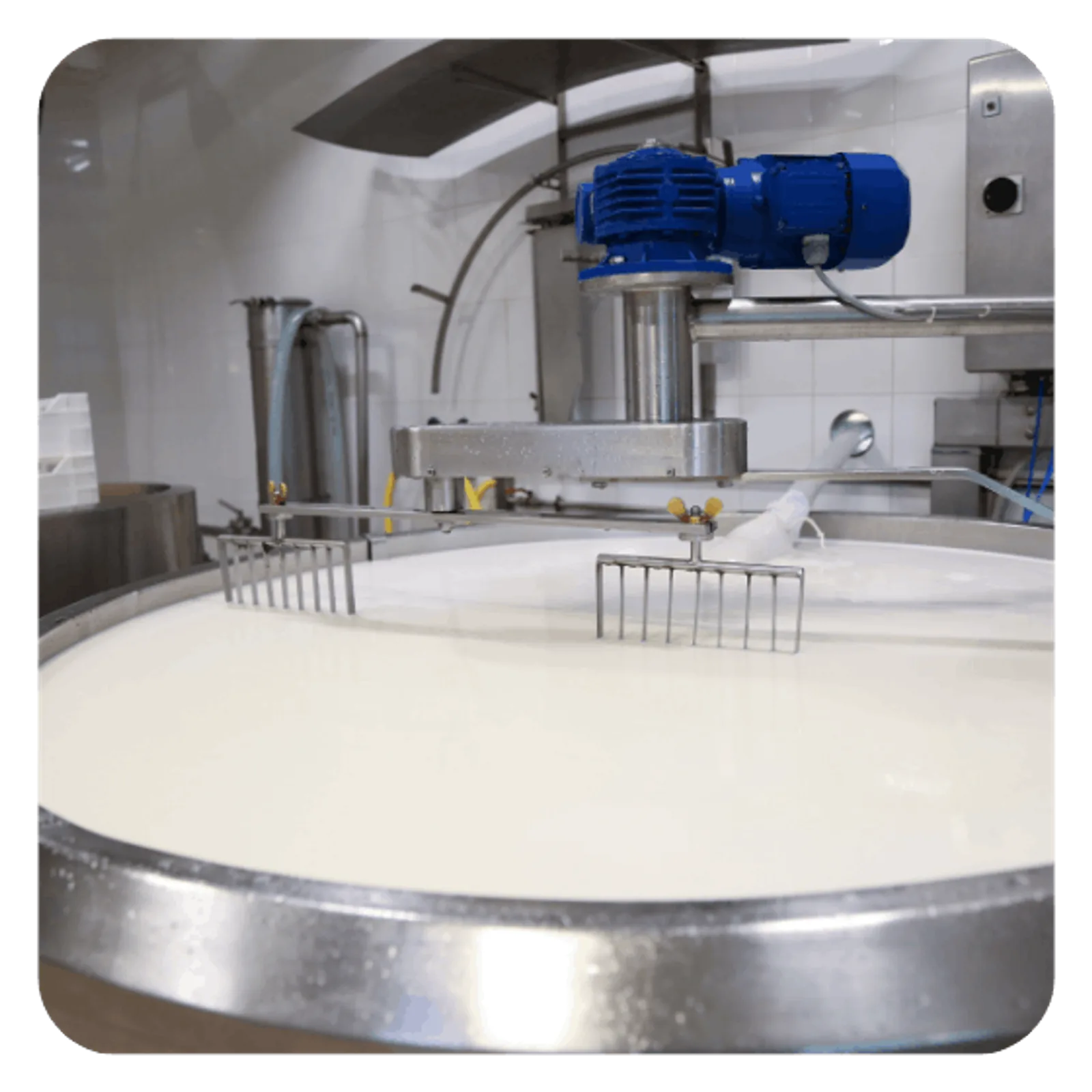 HACCP plan example for milk