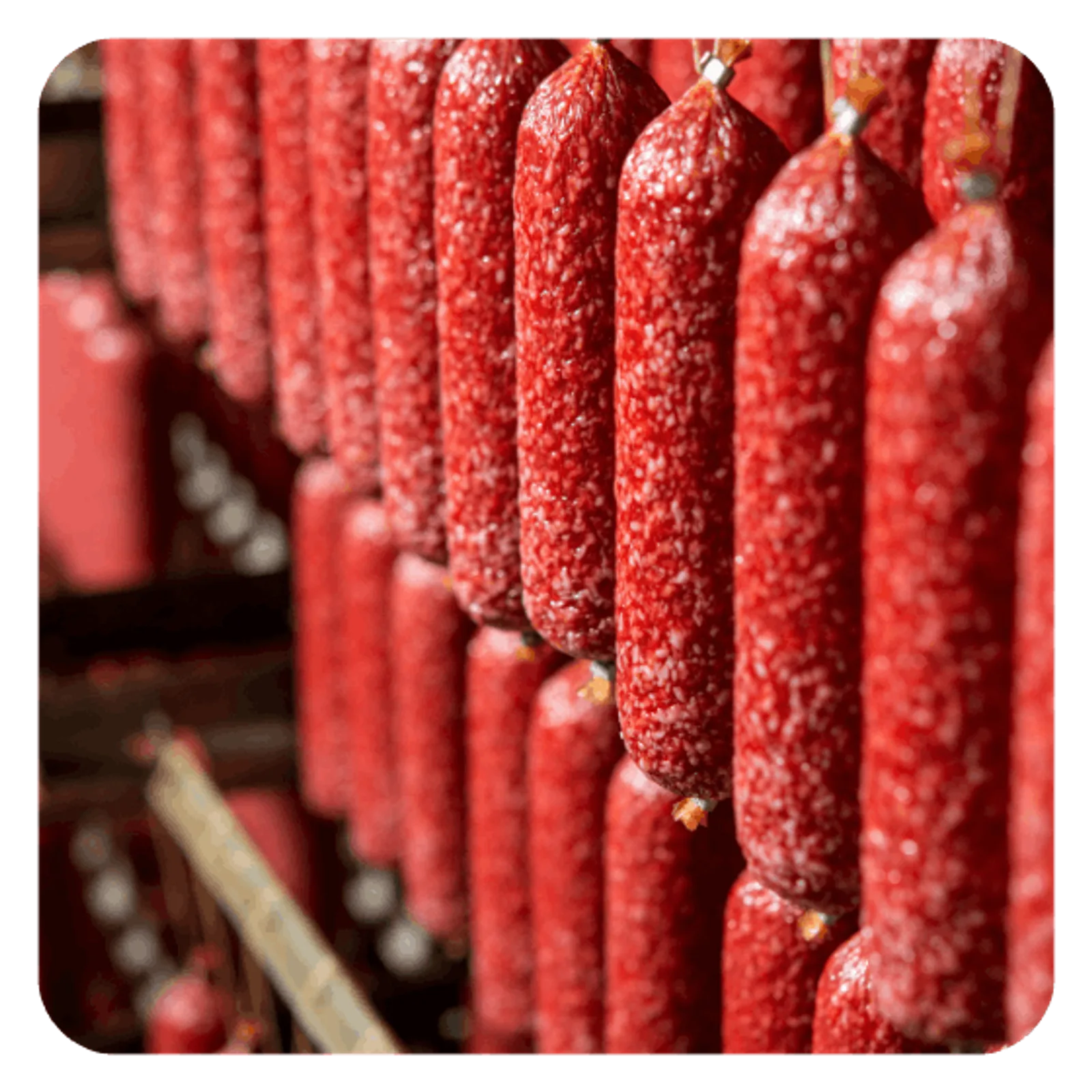 HACCP plan for sausage