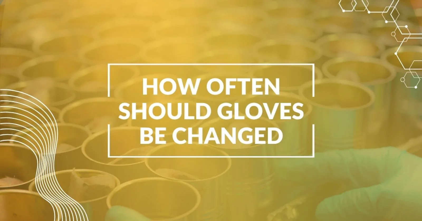 How Often Should Gloves Be Changed? Essential Guidelines for Food Safety