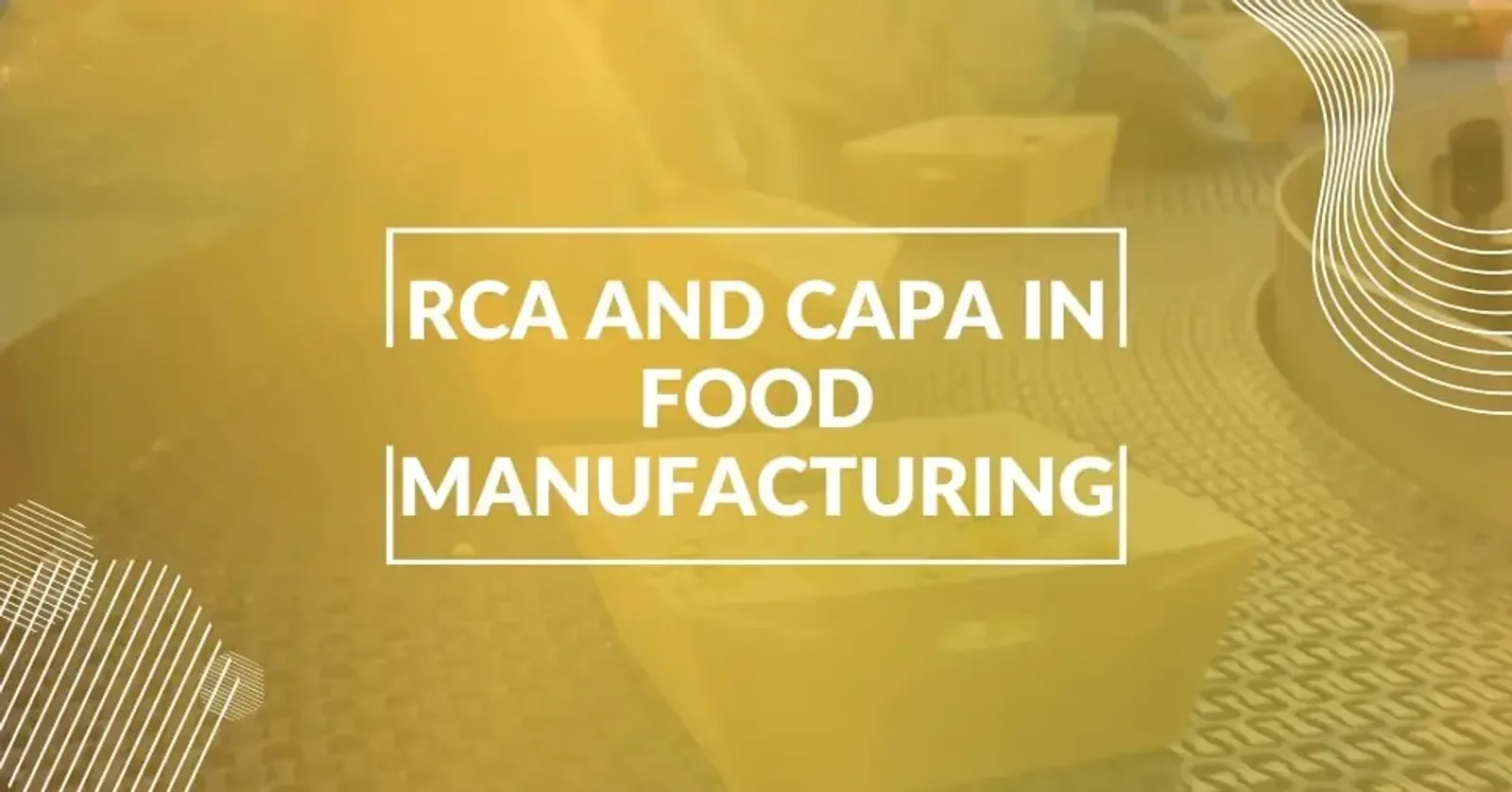 How Root Cause Analysis and CAPA Improve Food Manufacturing?