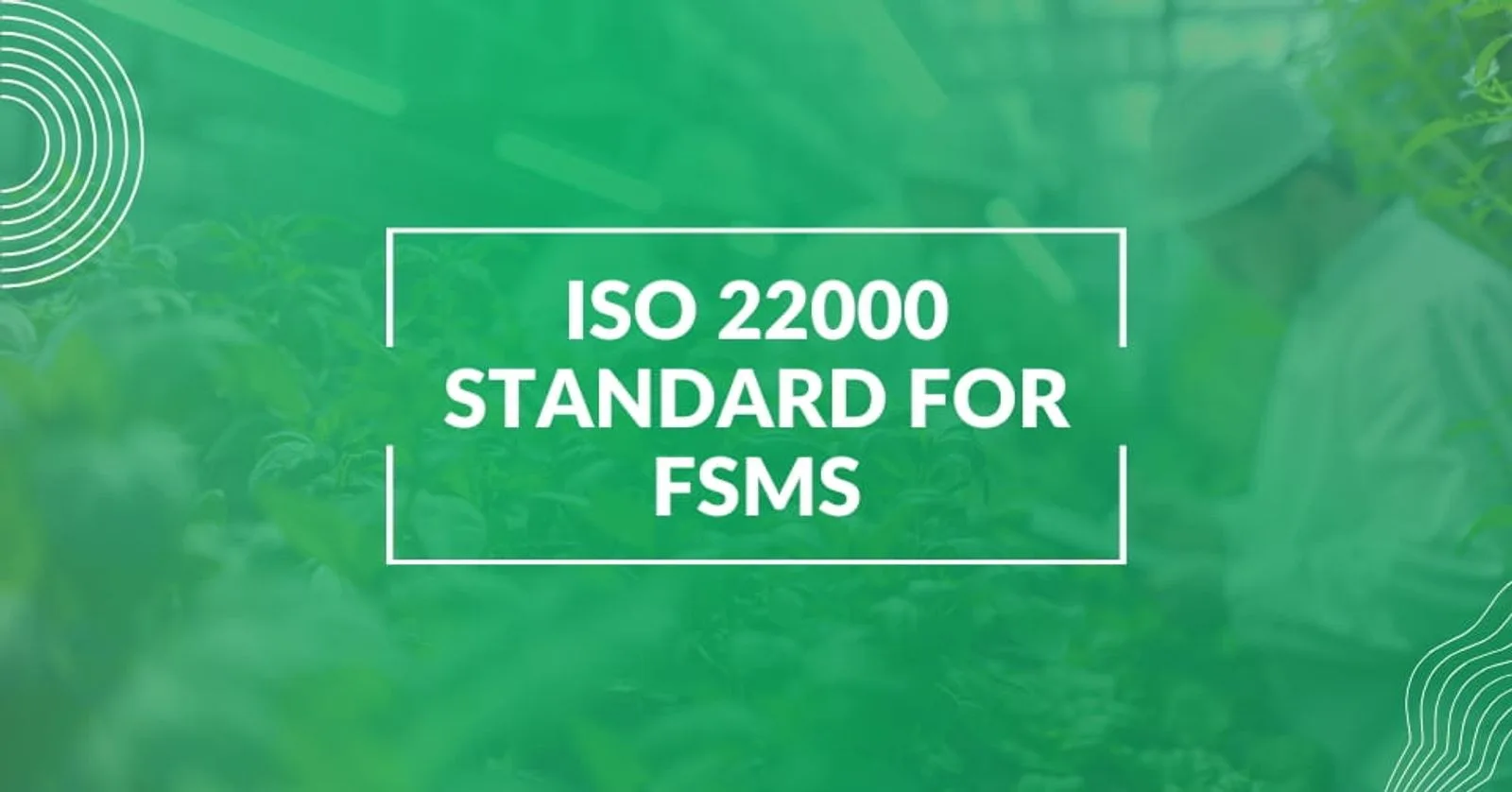 A Practical Guide to ISO 22000 for Food Manufacturers