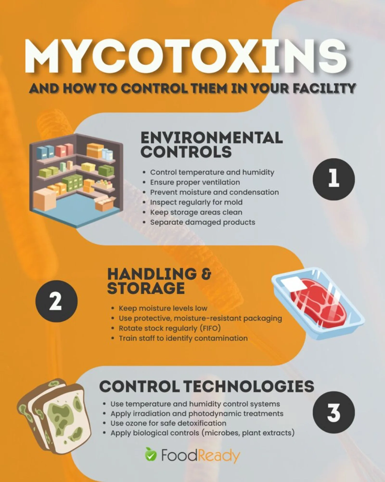 mycotoxings and how to control them in your facility infographic