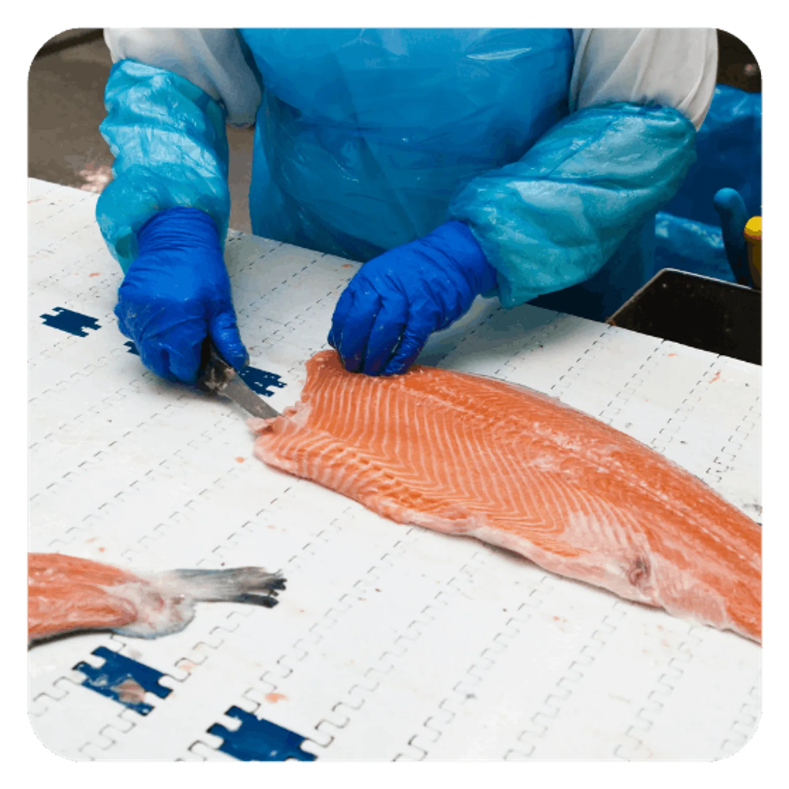 Seafood HACCP plan example