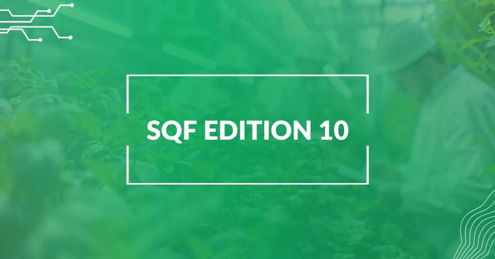 SQF Edition 10: Transition Steps for Food Manufacturers