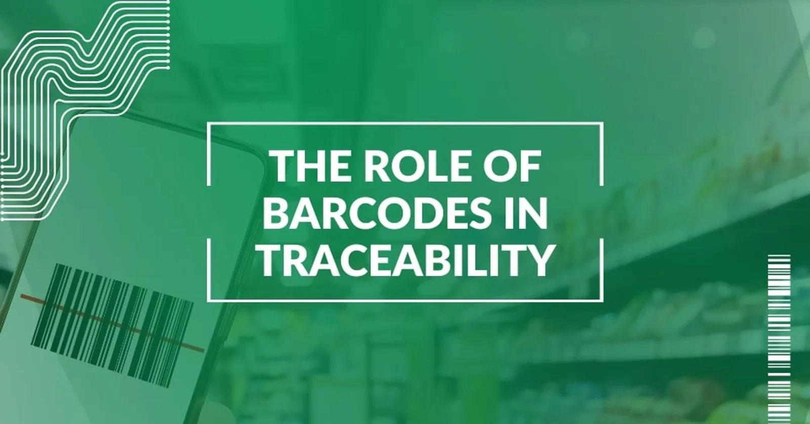 The Role of Barcodes in Food Traceability and Safety