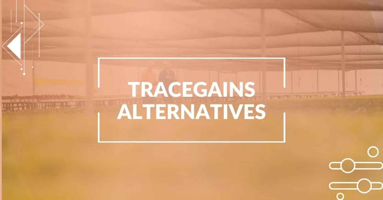 Best Tracegains Alternatives for Food Businesses in 2026