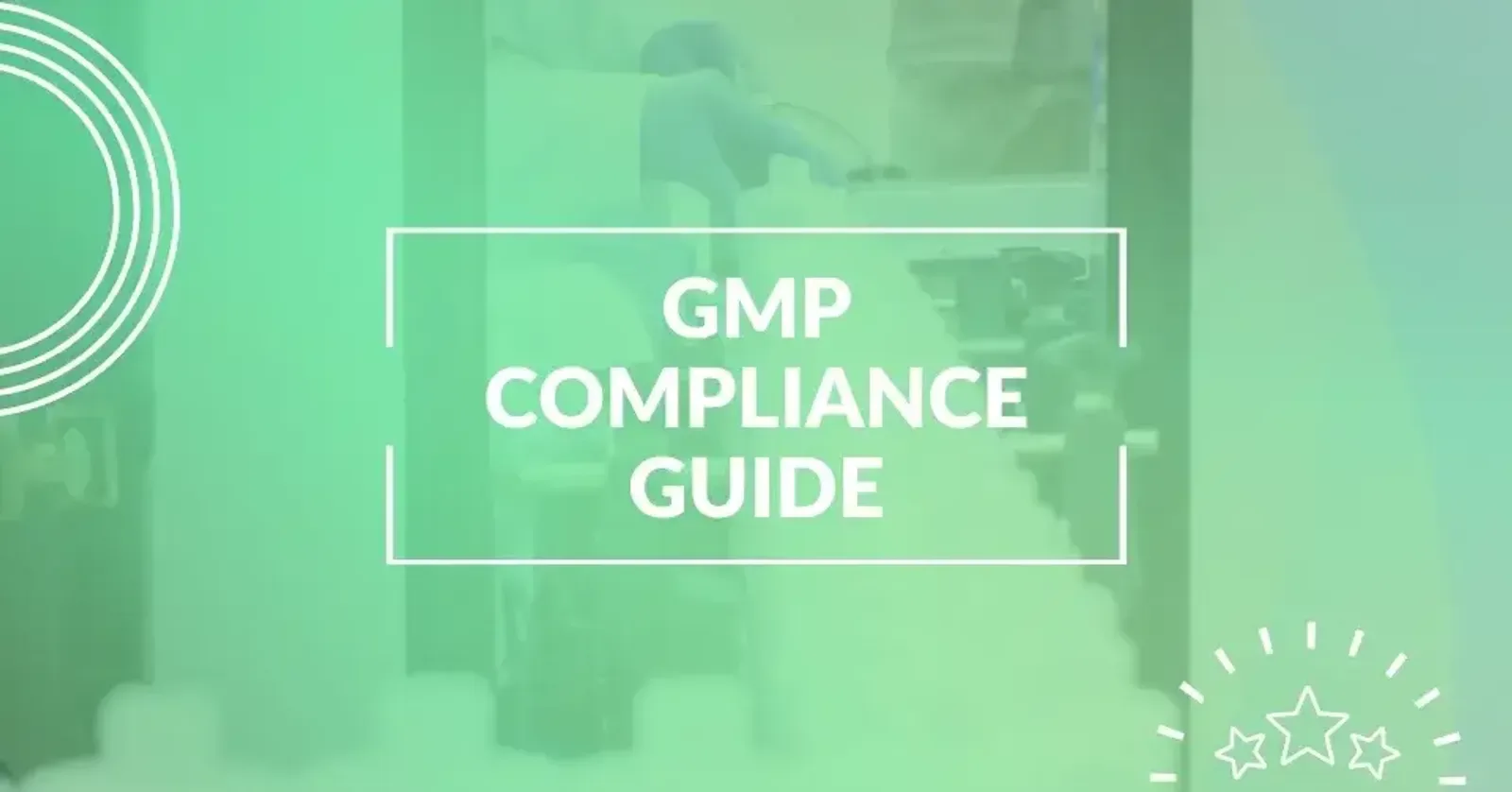 The Ultimate Guide to GMP in the Food Industry