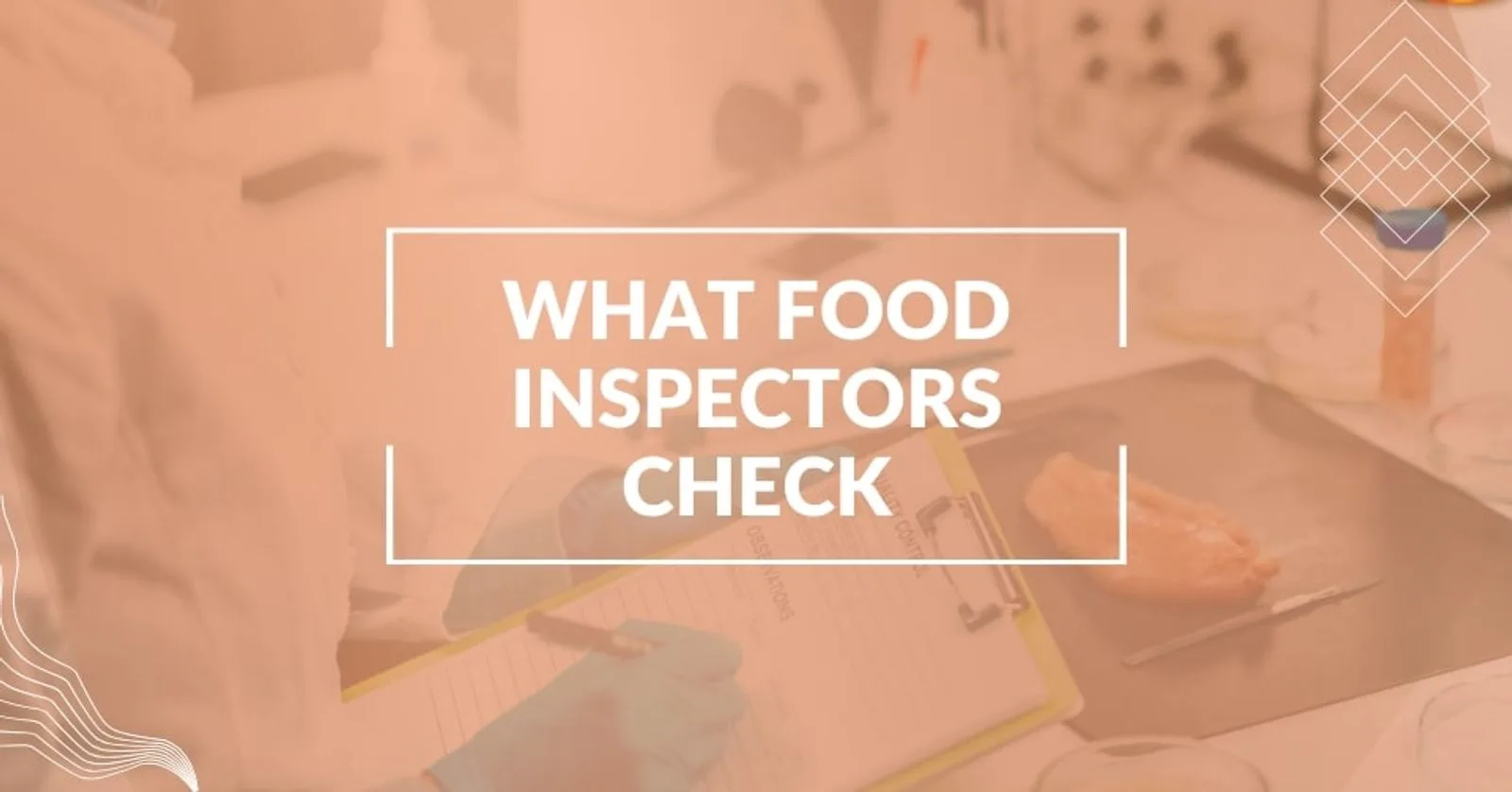 Food Inspectors - Who Are They and What Are They Looking For?