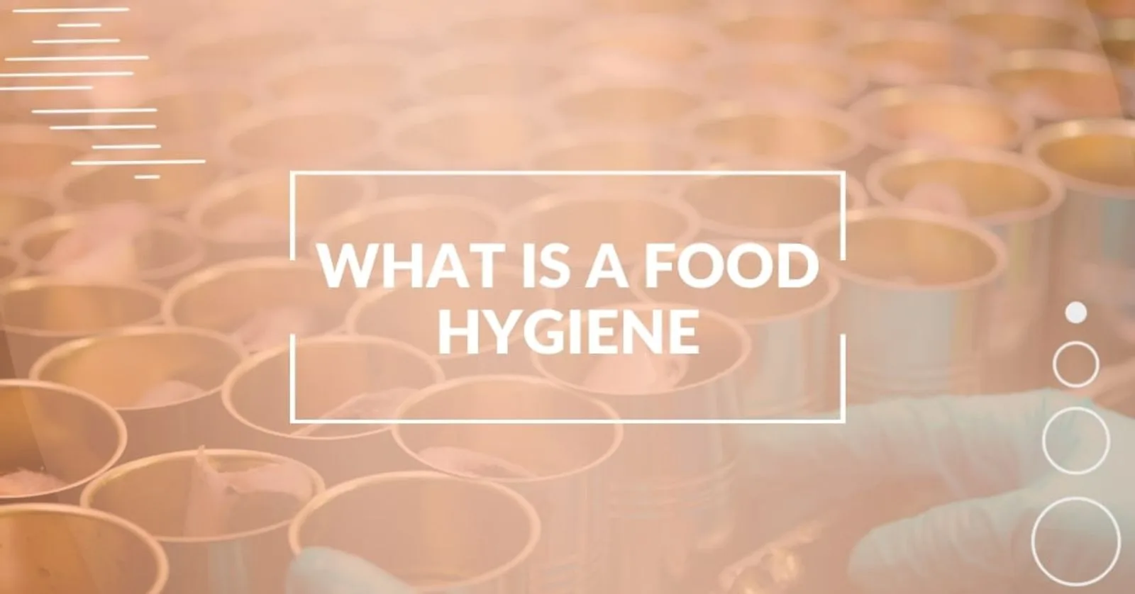 What Is Food Hygiene and Why It Matters?