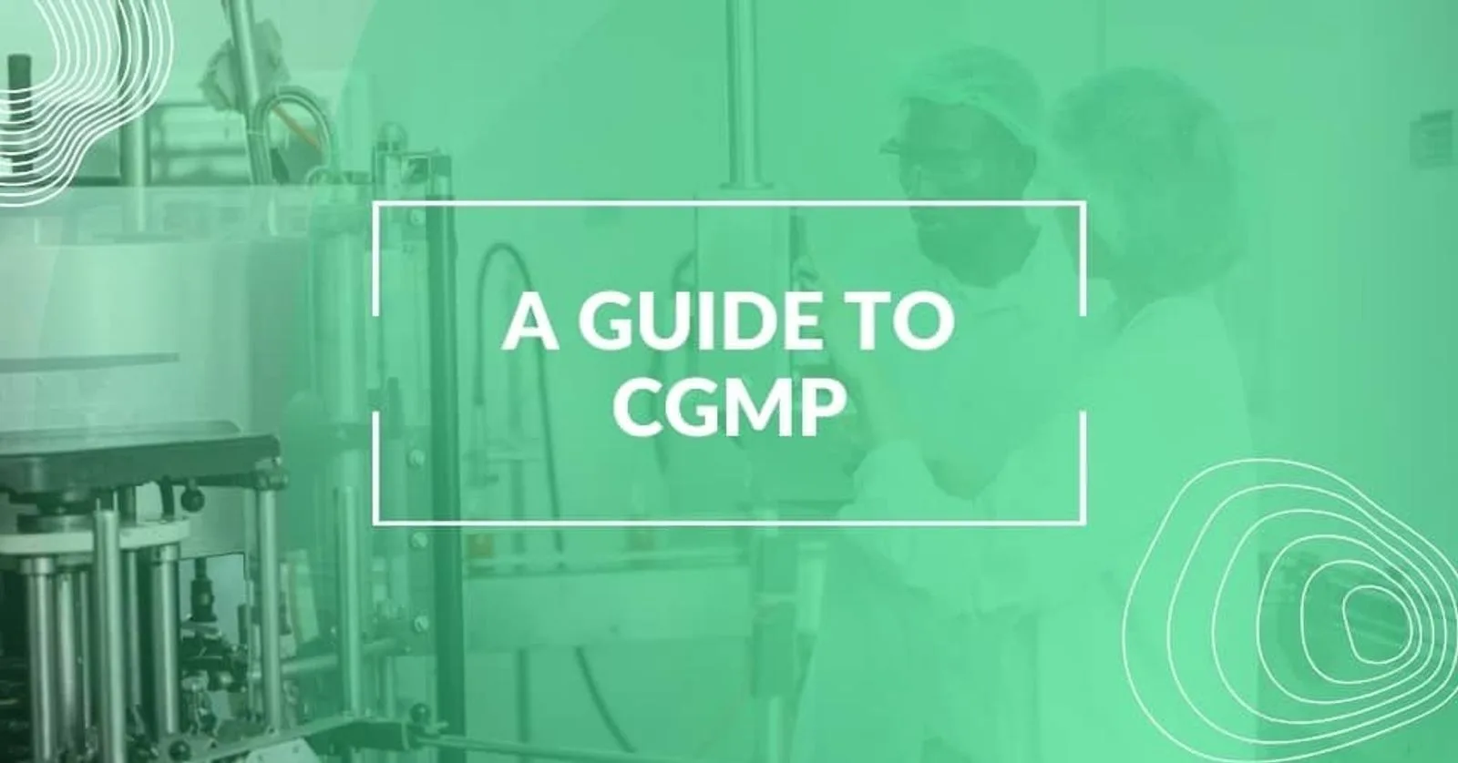 cGMP: A Guide to Current Good Manufacturing Practices