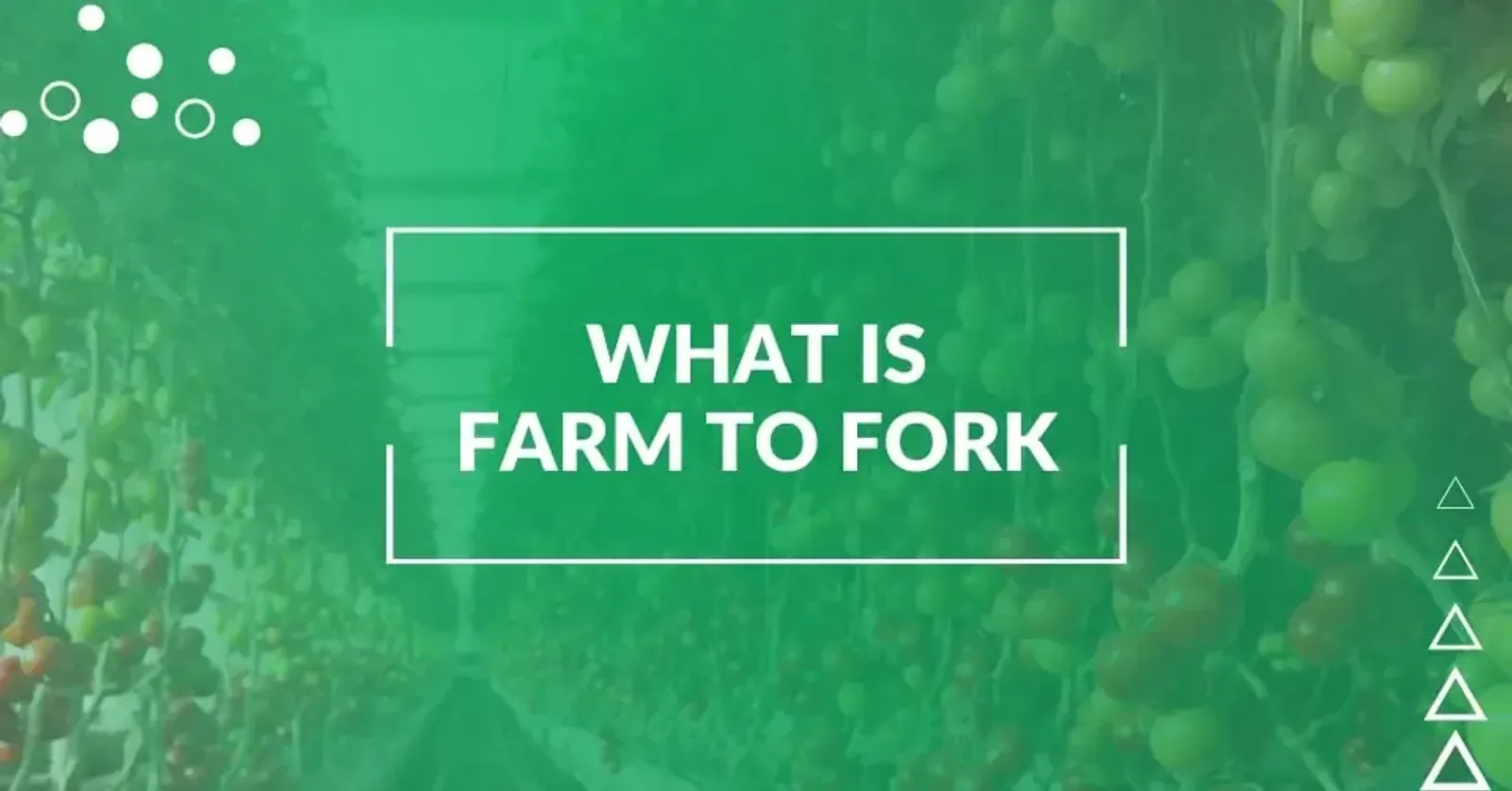 What is Farm to Fork?