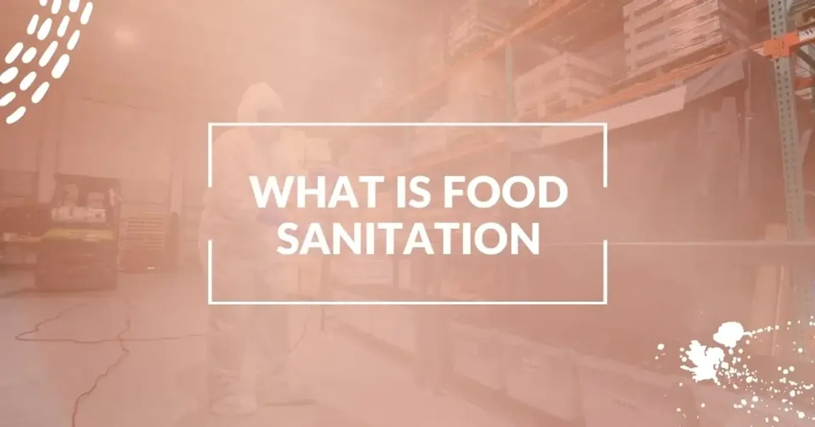 What Is Food Sanitation? Best Practices for Food Safety