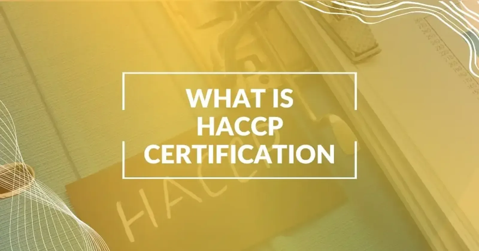 HACCP Certification Guide for Food Businesses