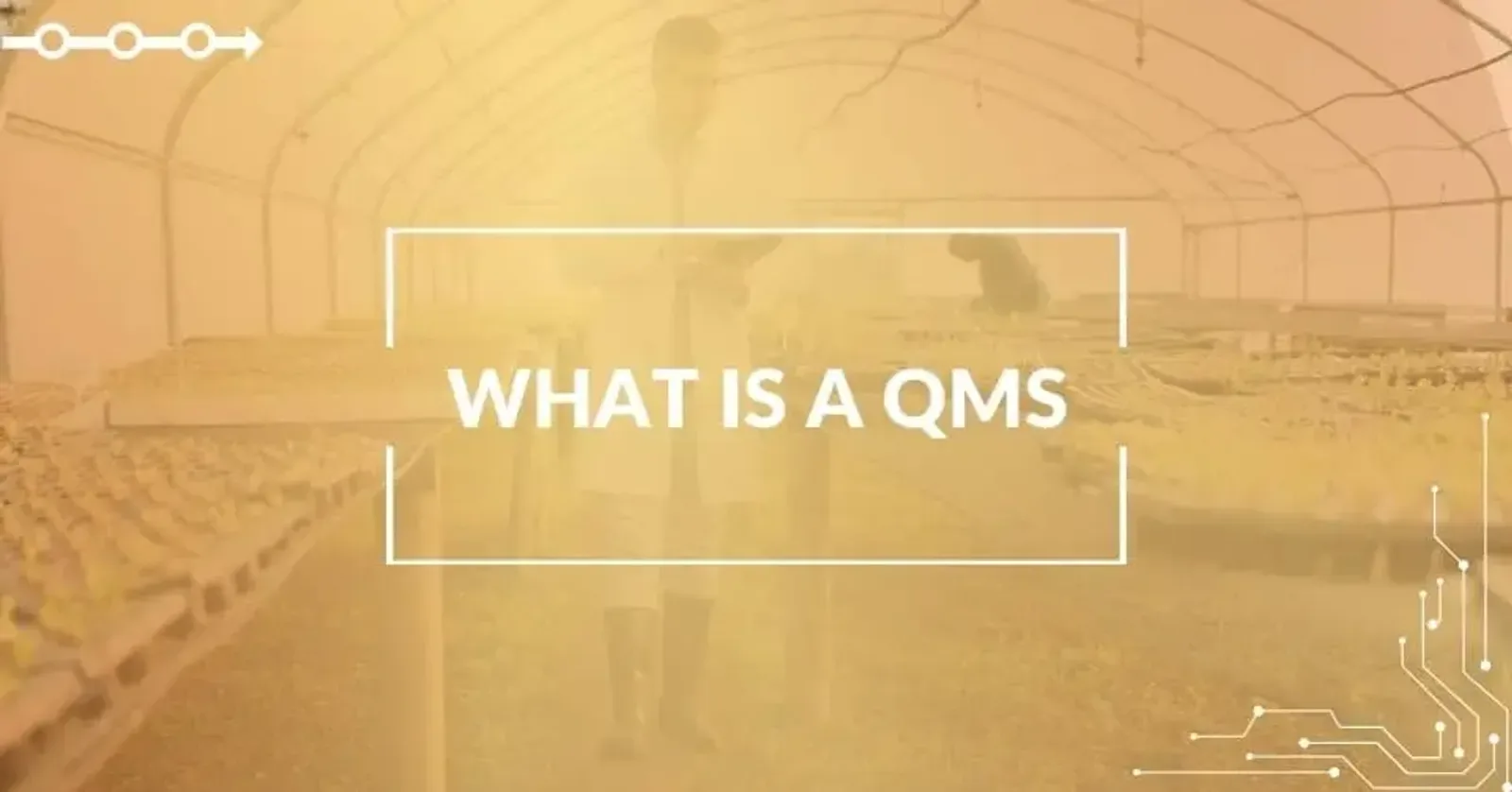 What is a Food Quality Management System (QMS)?