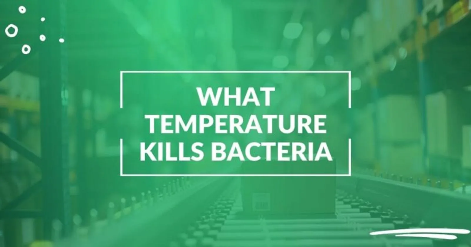 What Temperature Kills Bacteria in Food?