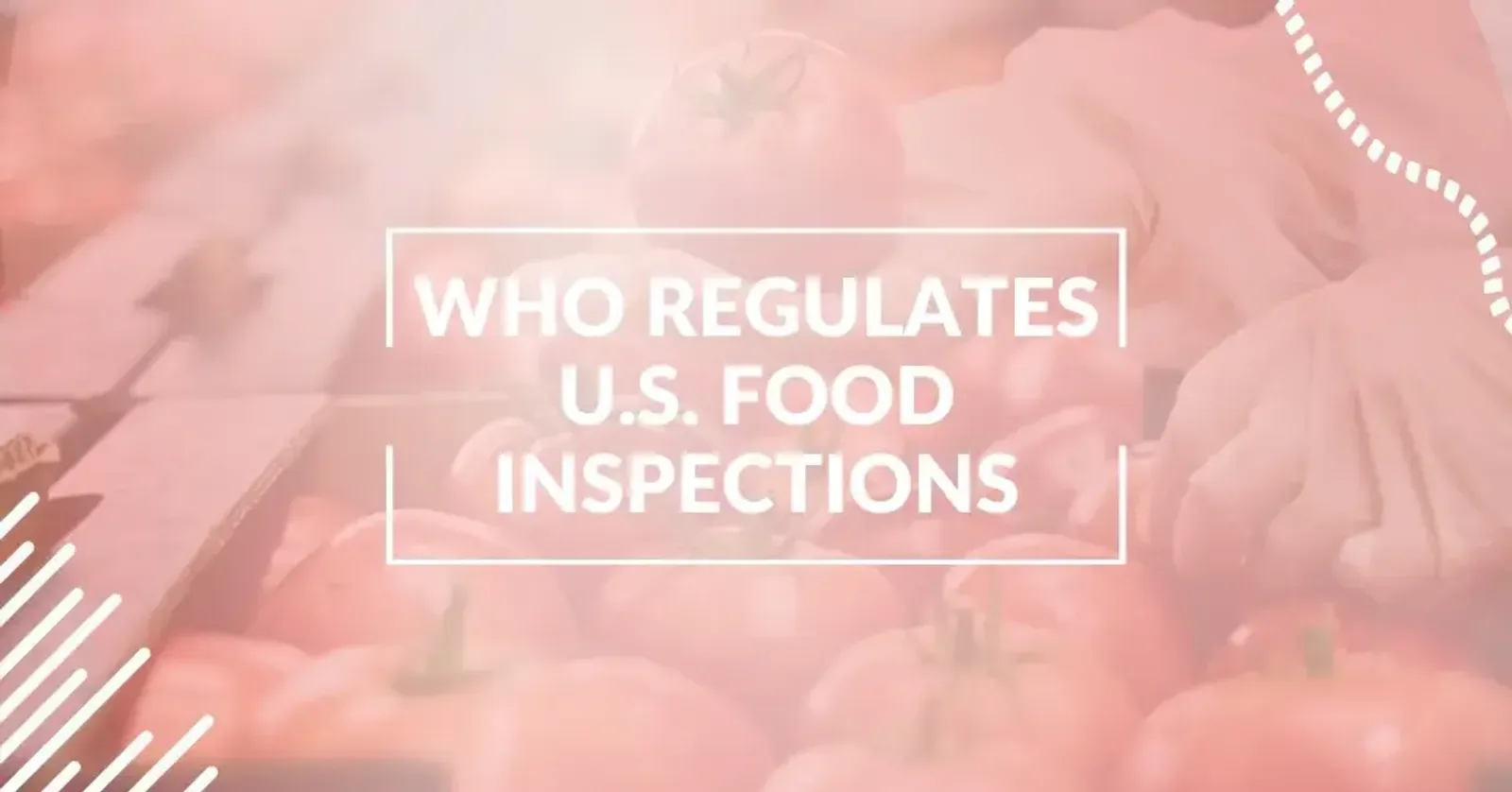 Two Agencies Oversee Food Inspection in the US, but Who Regulates What? It's Complicated.
